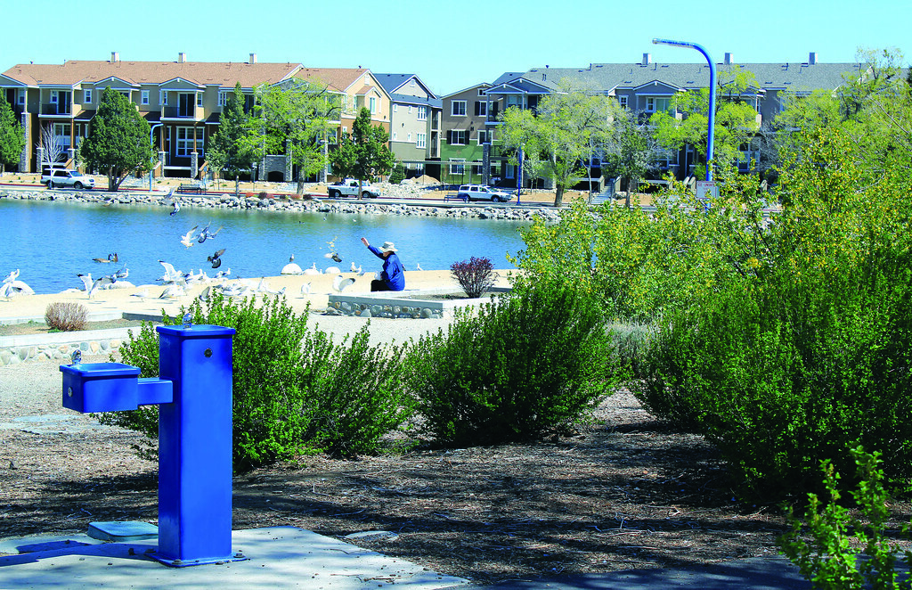 Outdoor Drinking Fountain at a Park in Virginia Lake