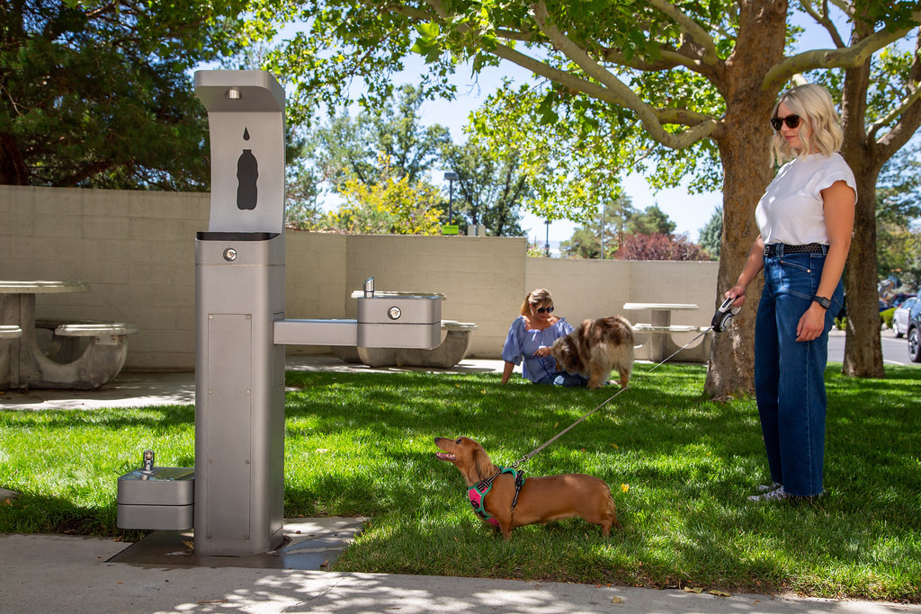 Outdoor Drinking Fountain Woman and her Dog